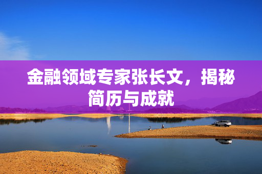 金融领域专家张长文，揭秘简历与成就