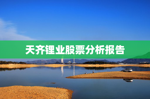 天齐锂业股票分析报告
