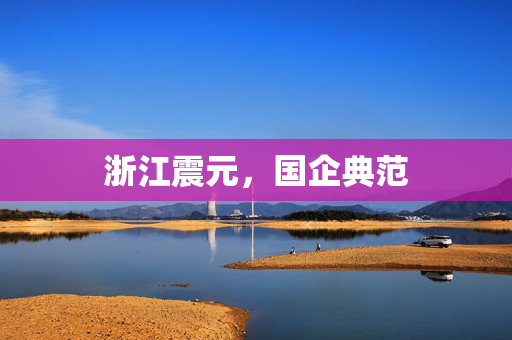浙江震元，国企典范