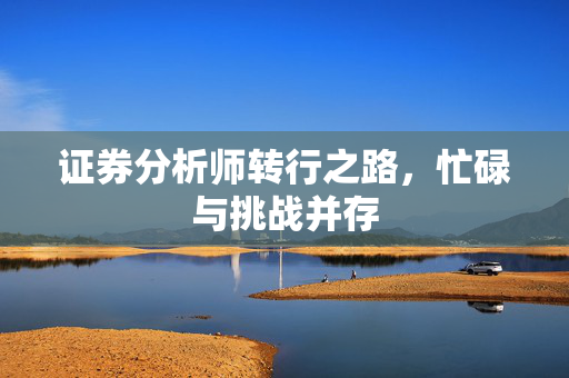 证券分析师转行之路，忙碌与挑战并存