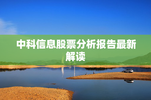 中科信息股票分析报告最新解读