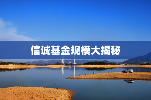信诚基金规模大揭秘