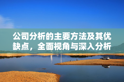 公司分析的主要方法及其优缺点，全面视角与深入分析