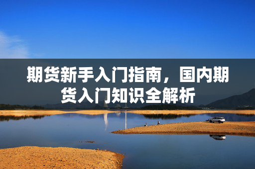 期货新手入门指南，国内期货入门知识全解析