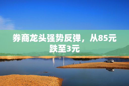 券商龙头强势反弹，从85元跌至3元