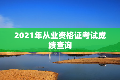 2021年从业资格证考试成绩查询