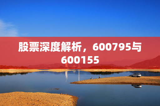 股票深度解析，600795与600155