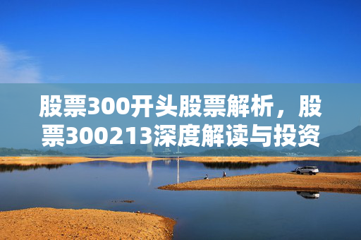 股票300开头股票解析，股票300213深度解读与投资策略