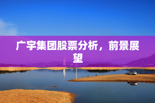 广宇集团股票分析，前景展望