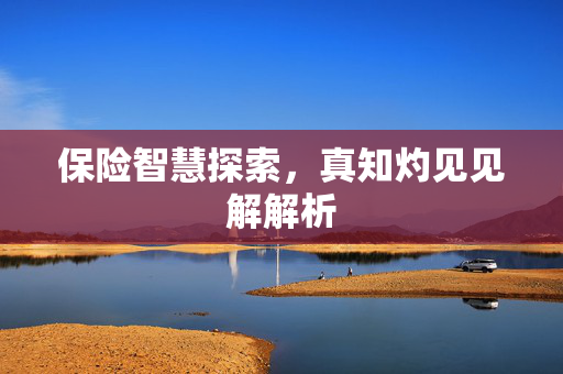 保险智慧探索，真知灼见见解解析