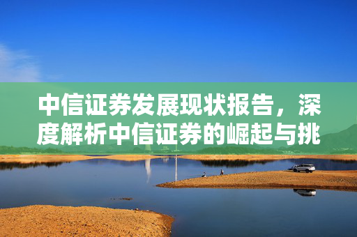 中信证券发展现状报告，深度解析中信证券的崛起与挑战