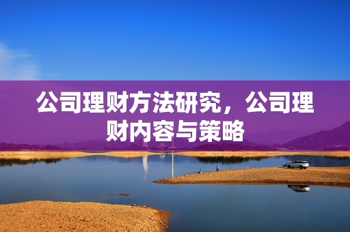 公司理财方法研究，公司理财内容与策略