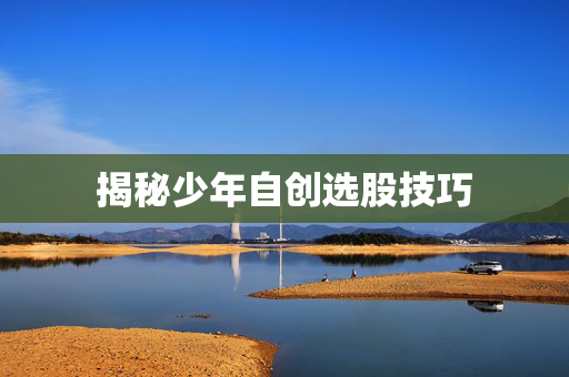 揭秘少年自创选股技巧
