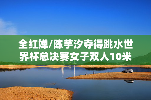 全红婵/陈芋汐夺得跳水世界杯总决赛女子双人10米台冠军