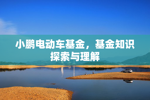 小鹏电动车基金，基金知识探索与理解
