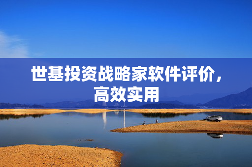 世基投资战略家软件评价，高效实用