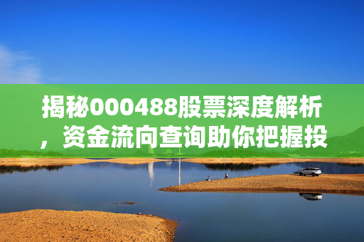 揭秘000488股票深度解析，资金流向查询助你把握投资机会