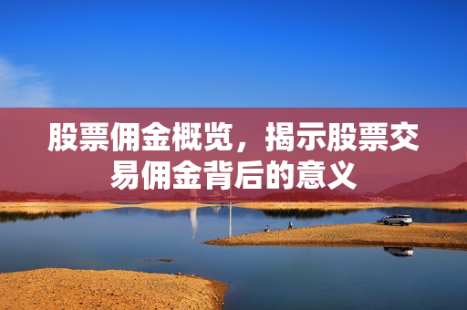 股票佣金概览，揭示股票交易佣金背后的意义