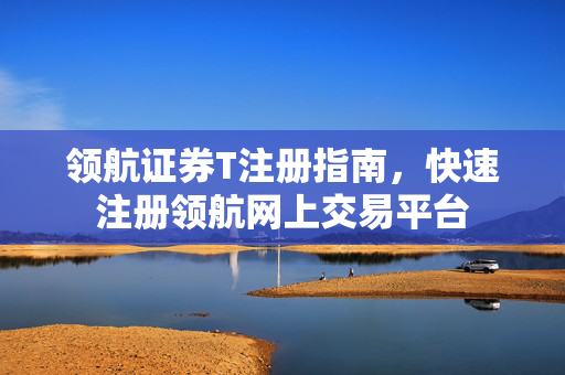 领航证券T注册指南，快速注册领航网上交易平台