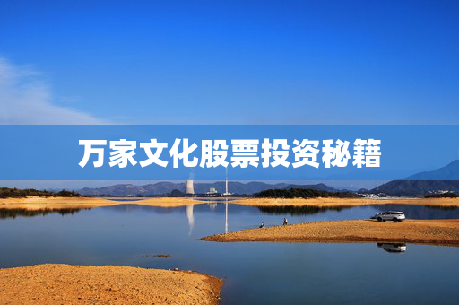 万家文化股票投资秘籍