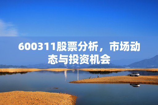 600311股票分析，市场动态与投资机会