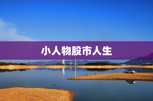 小人物股市人生
