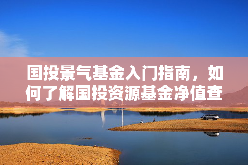 国投景气基金入门指南，如何了解国投资源基金净值查询