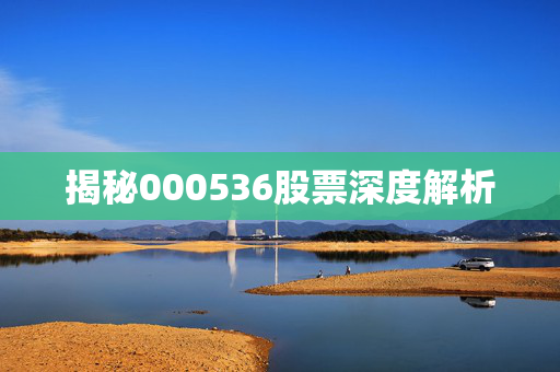 揭秘000536股票深度解析