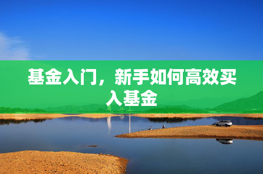 基金入门，新手如何高效买入基金