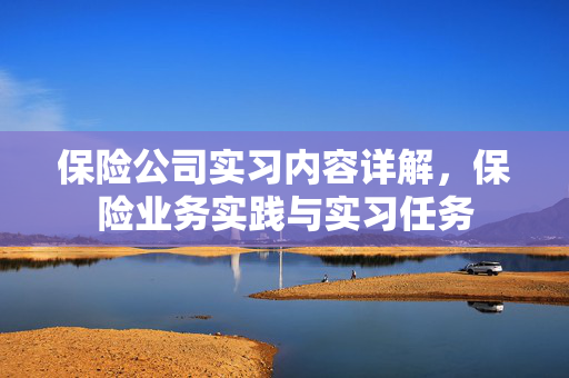 保险公司实习内容详解，保险业务实践与实习任务