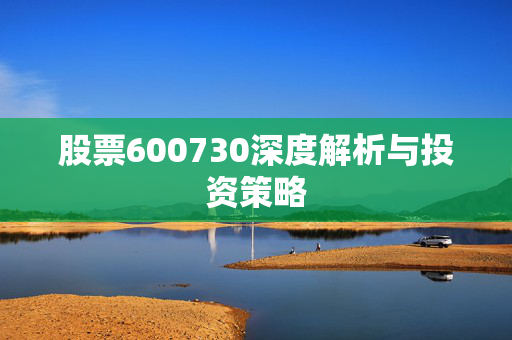股票600730深度解析与投资策略