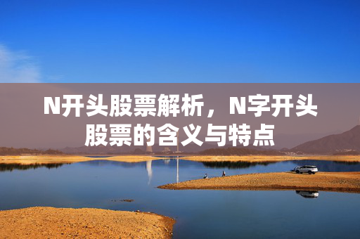 N开头股票解析，N字开头股票的含义与特点