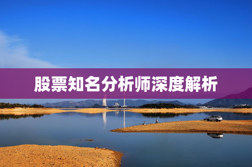 股票知名分析师深度解析