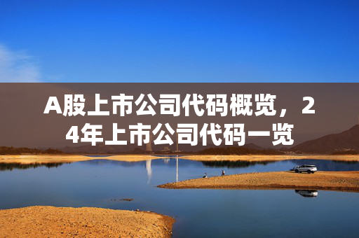 A股上市公司代码概览，24年上市公司代码一览