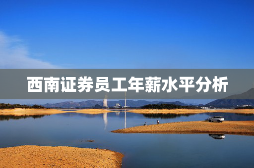 西南证券员工年薪水平分析