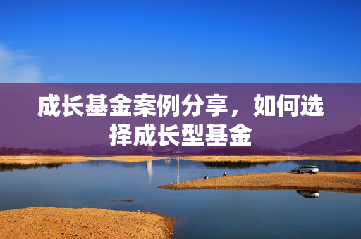 成长基金案例分享，如何选择成长型基金