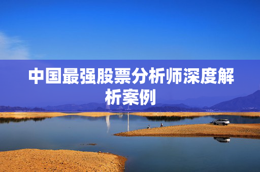 中国最强股票分析师深度解析案例