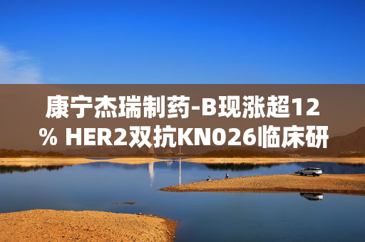康宁杰瑞制药-B现涨超12% HER2双抗KN026临床研究期中分析达PFS主要终点