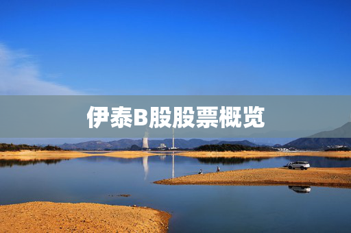 伊泰B股股票概览