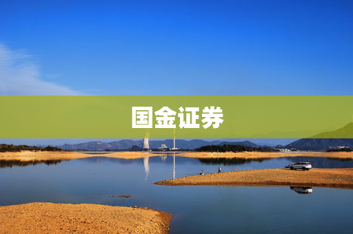 国金证券