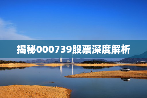 揭秘000739股票深度解析