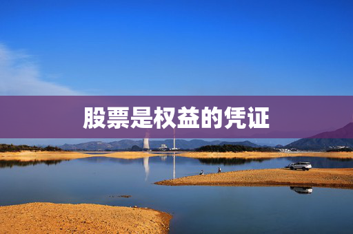 股票是权益的凭证