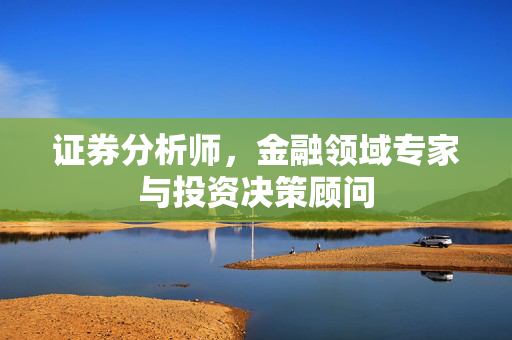 证券分析师，金融领域专家与投资决策顾问