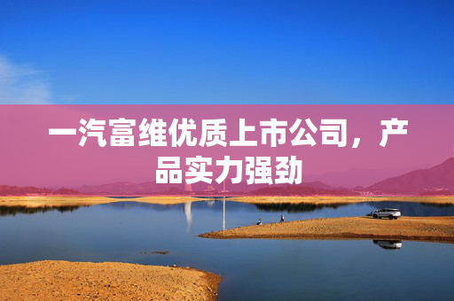 一汽富维优质上市公司，产品实力强劲