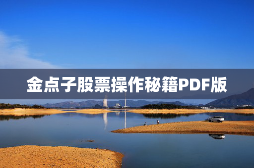 金点子股票操作秘籍PDF版