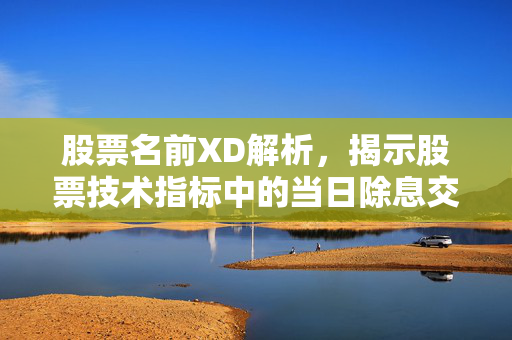 股票名前XD解析，揭示股票技术指标中的当日除息交易日