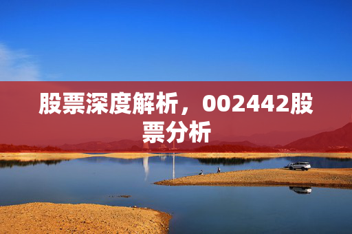 股票深度解析，002442股票分析