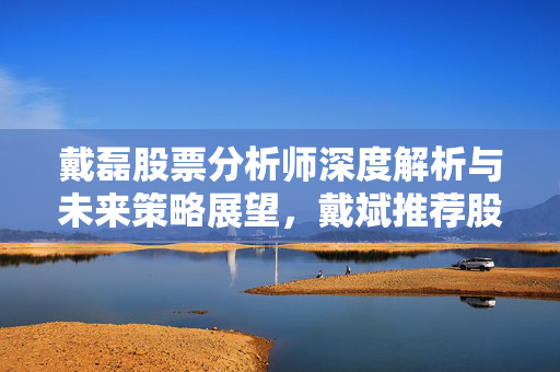 戴磊股票分析师深度解析与未来策略展望，戴斌推荐股票