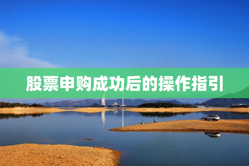 股票申购成功后的操作指引