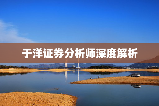 于洋证券分析师深度解析